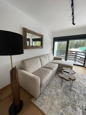 Villa Jezero 3 Žabljak
